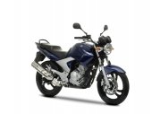 2009 Yamaha YBR250 photo